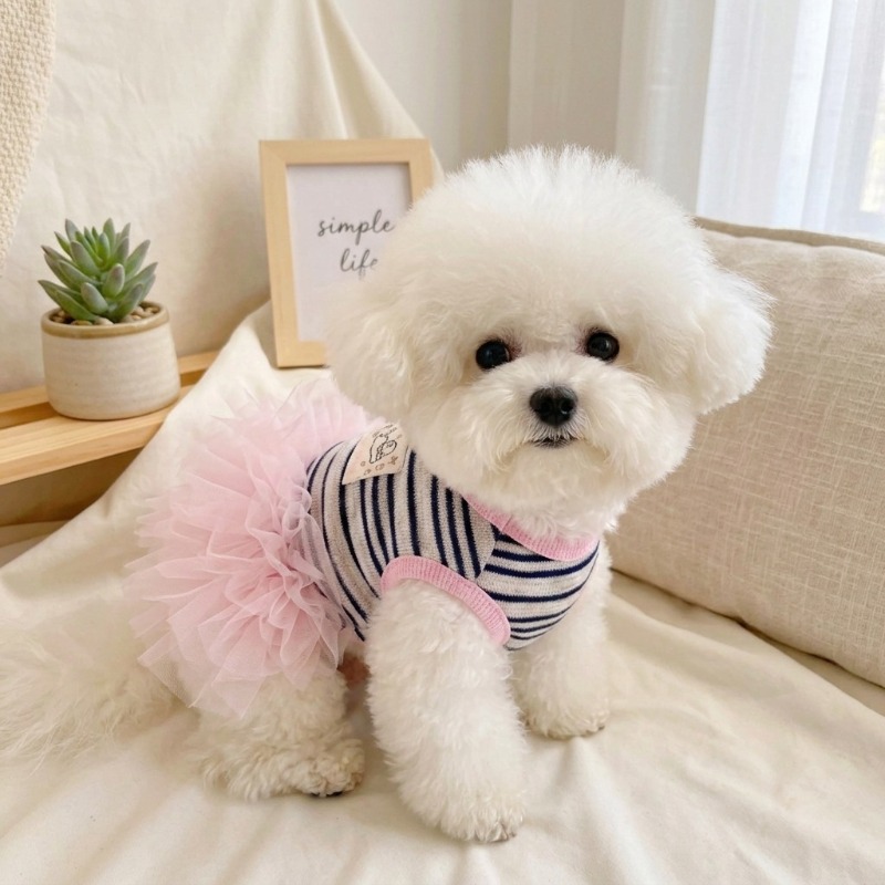Ins Pet  Princess Dress Woolen - Christmas Throw Blanket 리뷰 및 가격