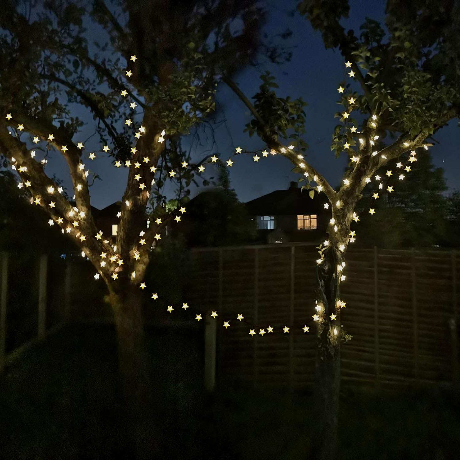 50ft 120 LED Solar Star Fairy  - Led Fairy String Lights 리뷰 및 가격