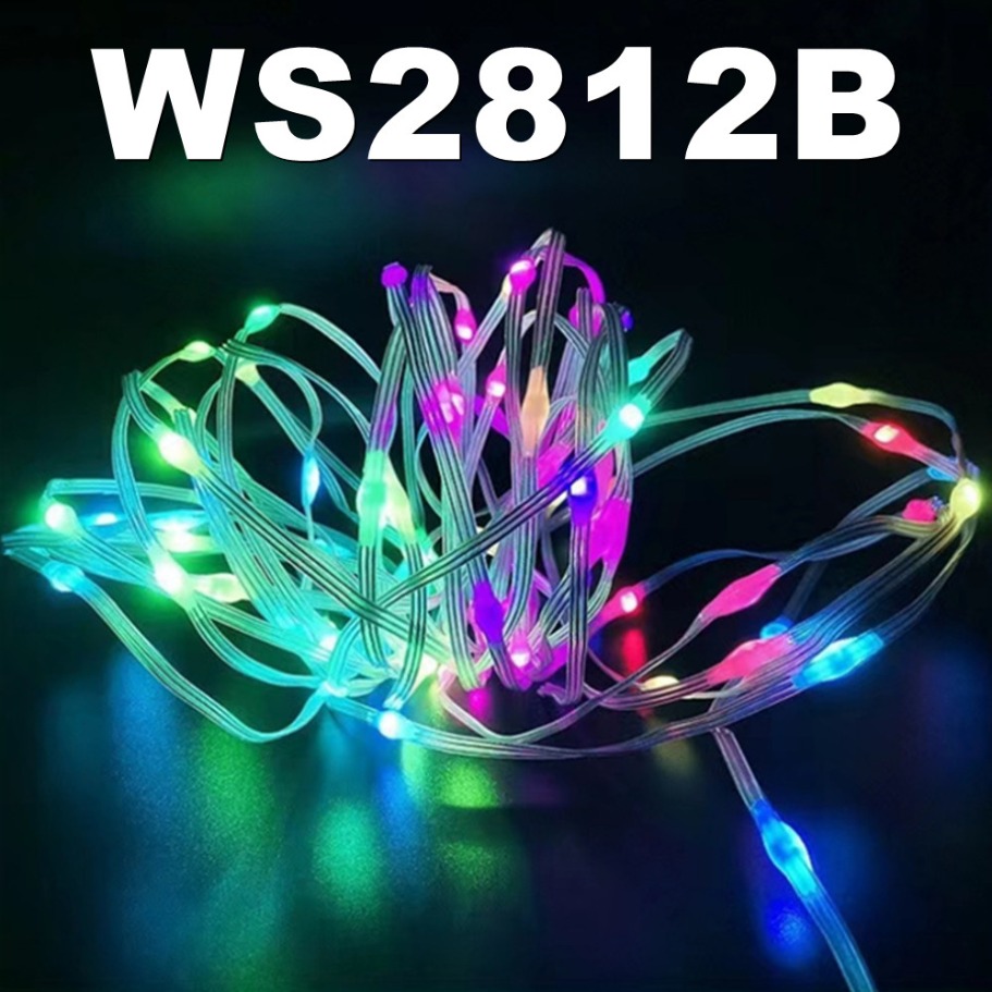 WS2812B LED Light String Smart - Led Fairy String Lights 리뷰 및 가격